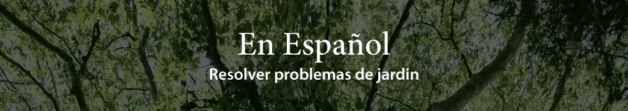Ask Us Espanol