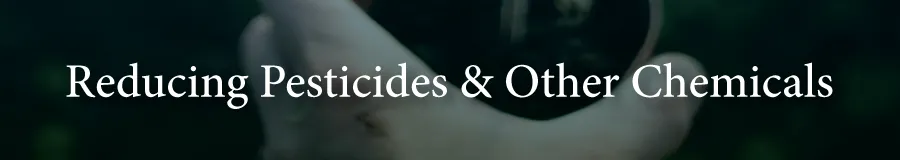 PROB Chemicals