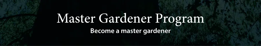 Banner Ask Us MMG