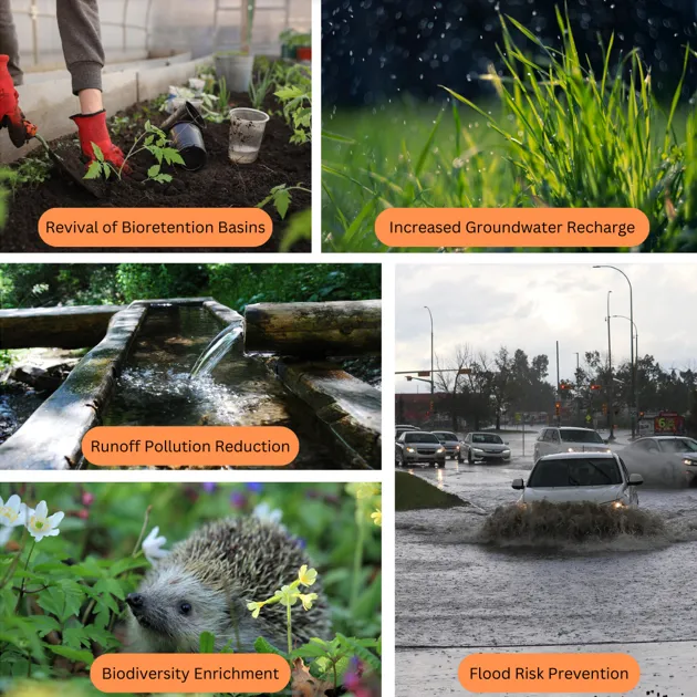 The green benefits of rain gardens