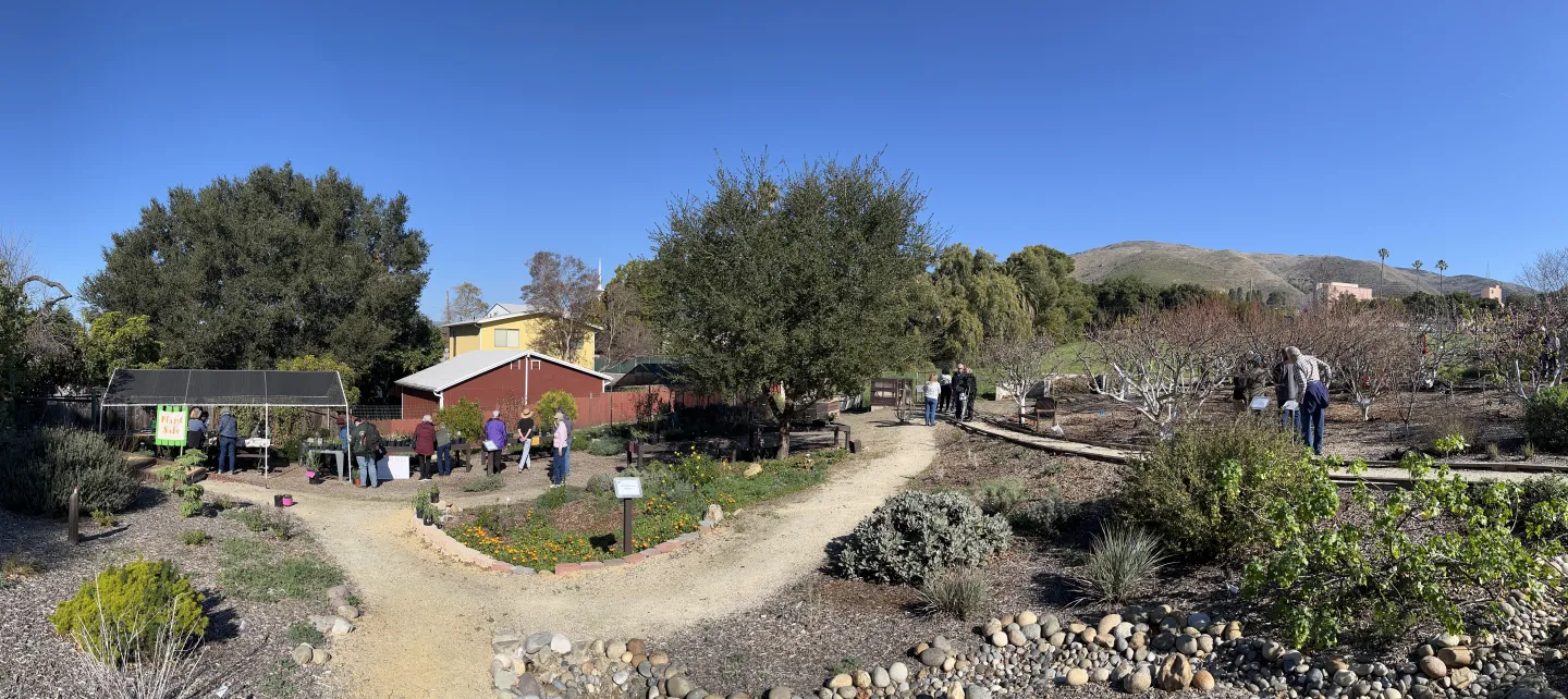 people in garden panorama