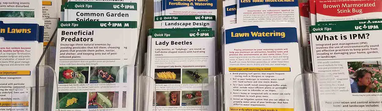 Quick Tips cards
