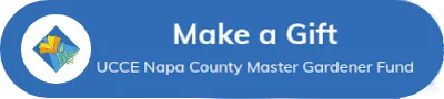 Click to make a donation!