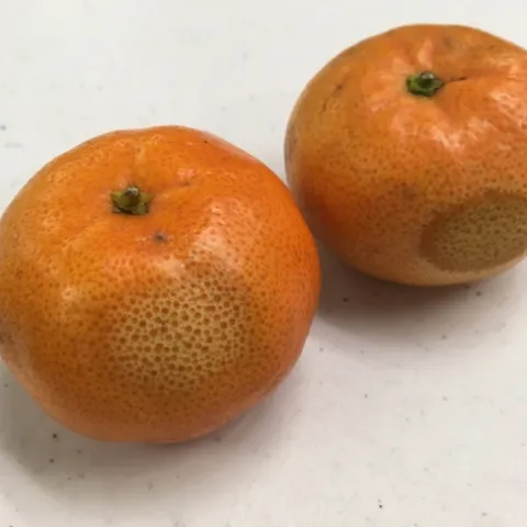 heat damage