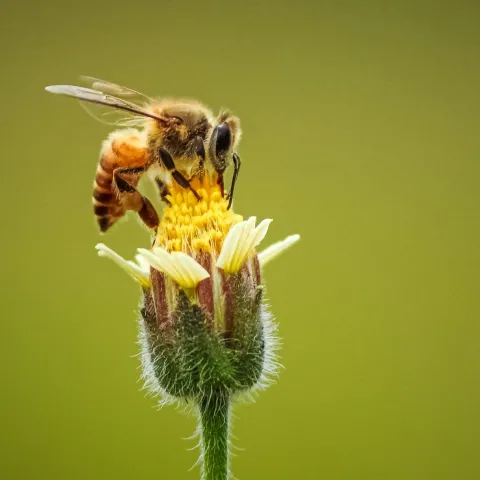Photo by Ankith Choudhary via Unsplash.com