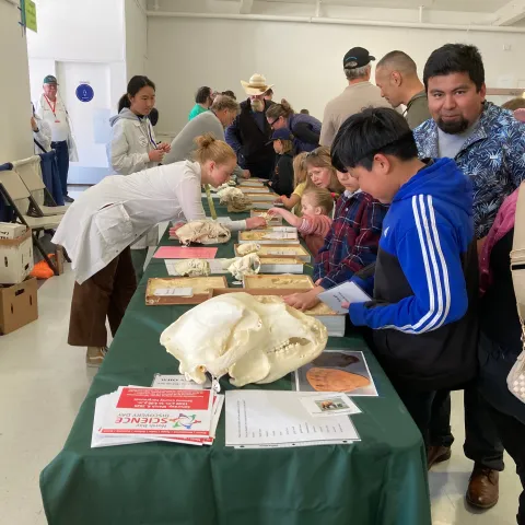Familias visitando el evento North Bay Discovery Day