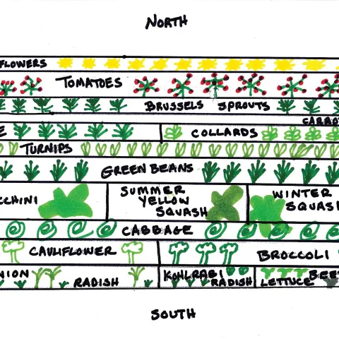 veggie garden plan