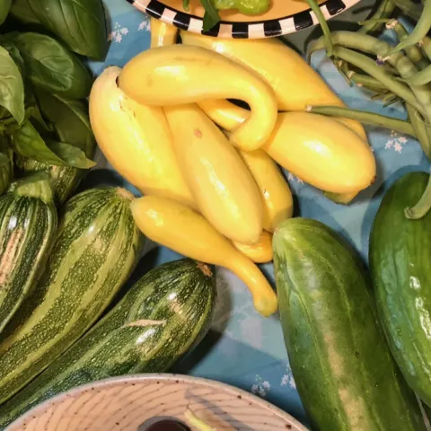 Summer Harvest cropped, Candace Simpson