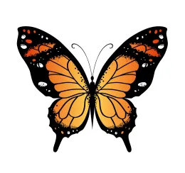 TFG_butterfly