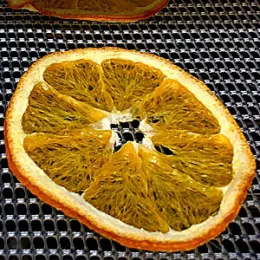 DehydrateOrange-Pixabay