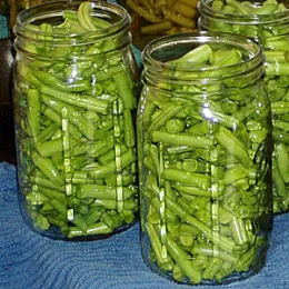 VegetablesBeans-Pixabay