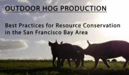 Hogs