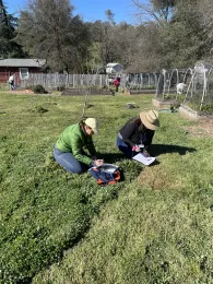 gardening answers