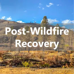 Post-Wildfire Recovery