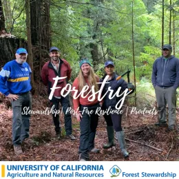 Group of people smiling amongst pine trees.
