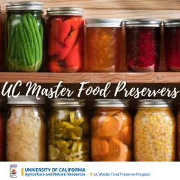 Jars of colorful preserved foods.