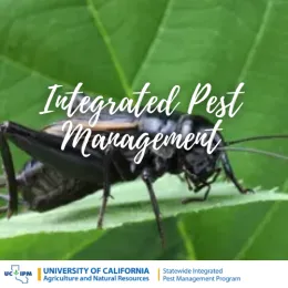 Cricket on leaf reads Integrated Pest Management