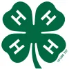 4h_mark2