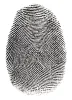 fingerprint